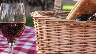 Vineyard experience at Bodegas Irache